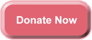 Donate Button_Pink